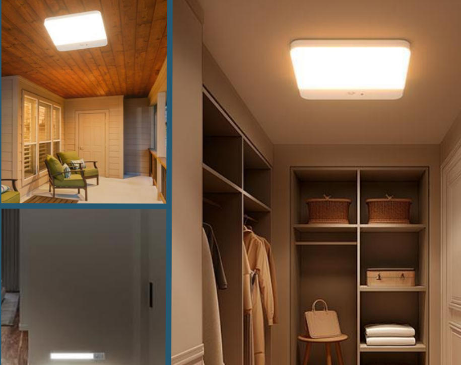 LED cabinet light