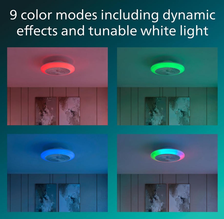LED ceiling fan 