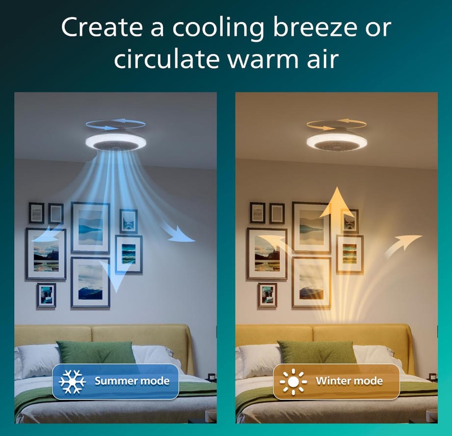 LED ceiling fan 